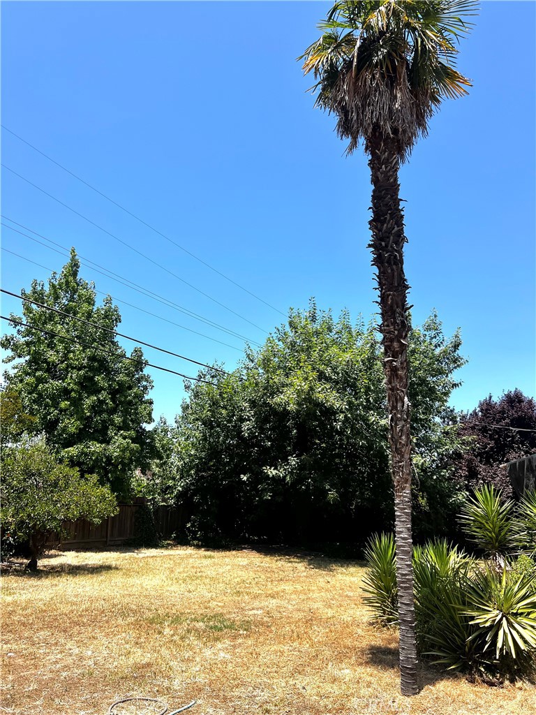 https://media.crmls.org/medias/5493d487-4c4b-412b-afa0-f2bded01e5a4.jpg?preset=X-Large