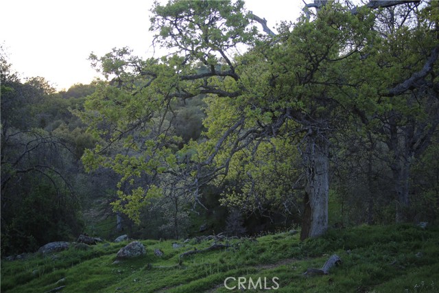 Detail Gallery Image 9 of 14 For 18 Unassigned Usona Rd., Mariposa,  CA 95338 - – Beds | – Baths