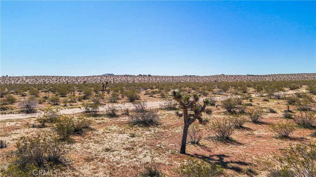 MLS #JT25078936 image #30