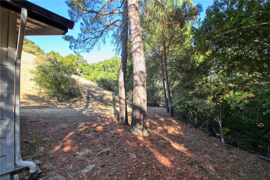 Detail Gallery Image 31 of 38 For 8370 Del Rio Rd, Atascadero,  CA 93422 - 3 Beds | 2 Baths