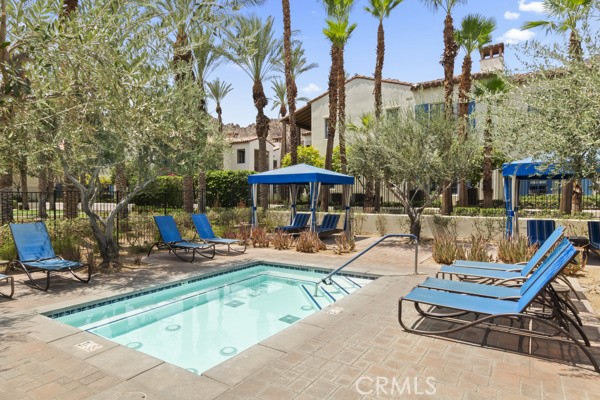 MLS #NP25169193 image #5