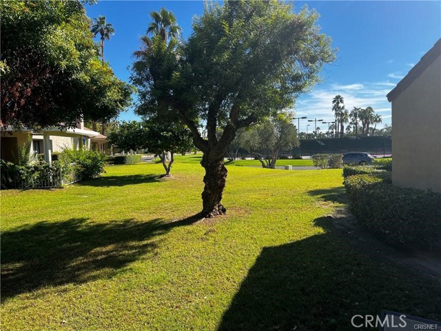 Detail Gallery Image 26 of 37 For 316 Forest Hills Dr, Rancho Mirage,  CA 92270 - 2 Beds | 2 Baths