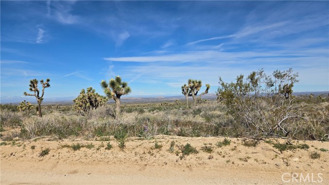 Detail Gallery Image 26 of 50 For 0 Fort Tejon Rd Vicinity 181st St E, Llano,  CA 93544 - – Beds | – Baths