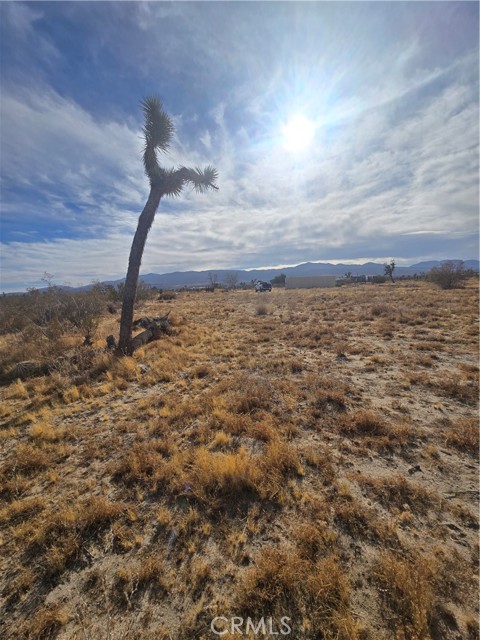 Detail Gallery Image 6 of 8 For 0 263rd Rd, Pinon Hills,  CA 92372 - – Beds | – Baths