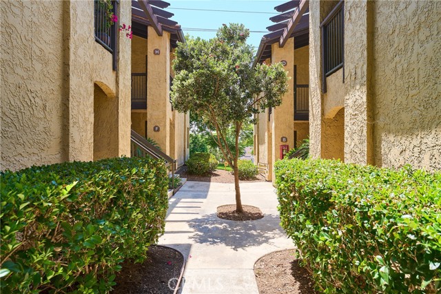 25591 Indian Hill Lane, Laguna Hills CA: https://media.crmls.org/medias/54b3f976-29b1-4b9f-98fb-e113840b1126.jpg