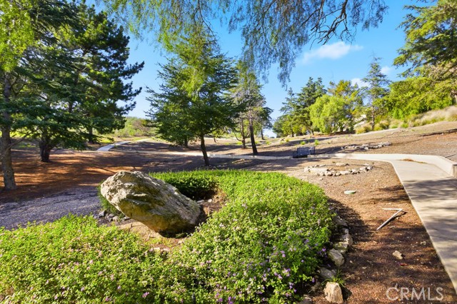 Detail Gallery Image 42 of 52 For 1069 Belleza St, Camarillo,  CA 93012 - 2 Beds | 2 Baths