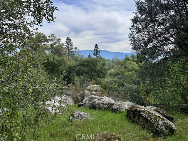 3038 Country Court, Mariposa CA: https://media.crmls.org/medias/54bc2c49-5366-427b-a1f4-d7a2b3f29248.jpg
