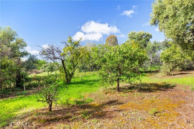 Detail Gallery Image 41 of 52 For 32 Mission Olive Ct, Oroville,  CA 95966 - 3 Beds | 2/1 Baths