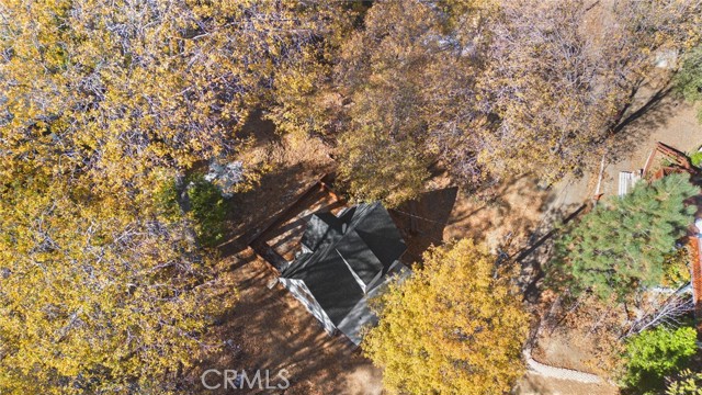 180 Glen Avon Dr, Cedar Glen, CA 92407