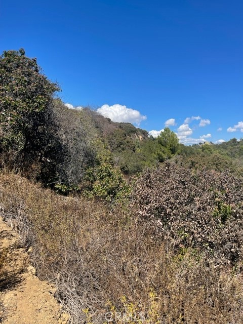 0 Subdivision 1033, Lot 19, Los Angeles CA: https://media.crmls.org/medias/54c5d32b-d3a1-4e85-93c3-9ce0bb787908.jpg