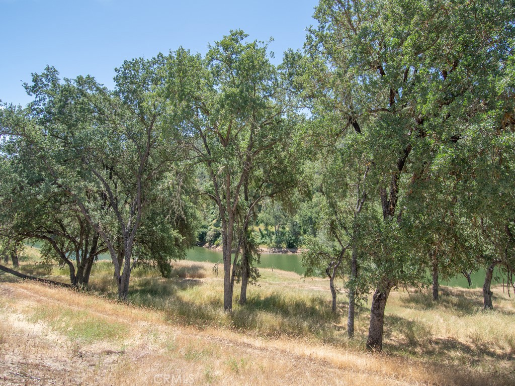 https://media.crmls.org/medias/54d1a313-0190-460a-bc88-9fe1340f2c29.jpg?preset=X-Large