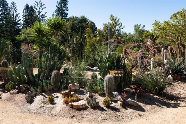 Detail Gallery Image 56 of 66 For 28052 via Congora, Mission Viejo,  CA 92692 - 2 Beds | 1/1 Baths