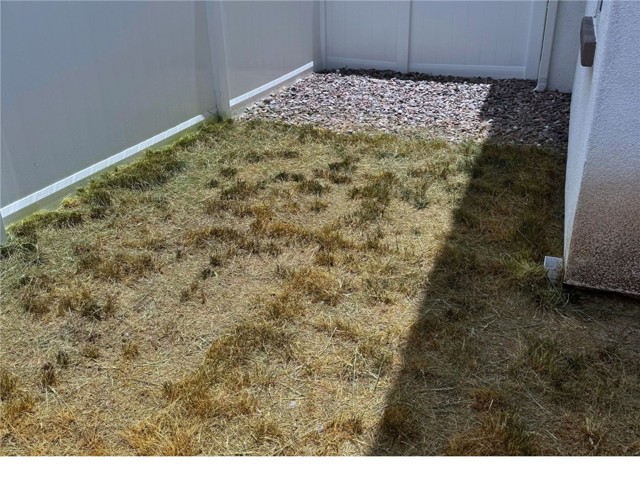 31832 Gimbal Way, Winchester CA: https://media.crmls.org/medias/54ddacfb-2672-4e1e-bd49-405f502dfaa2.jpg