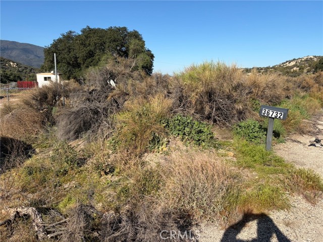 Detail Gallery Image 18 of 45 For 36732 Highway 79, Warner Springs,  CA 92086 - – Beds | – Baths