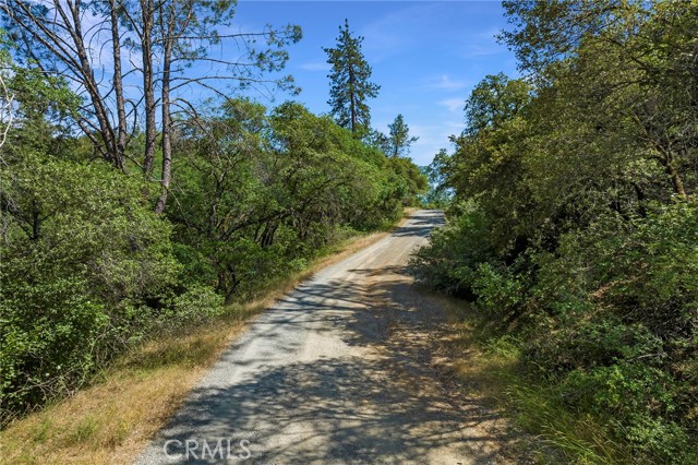 0 Rich Gulch Road, Yankee Hill, California 95965, ,Land,For Sale,0 Rich Gulch Road,CRSN23101845