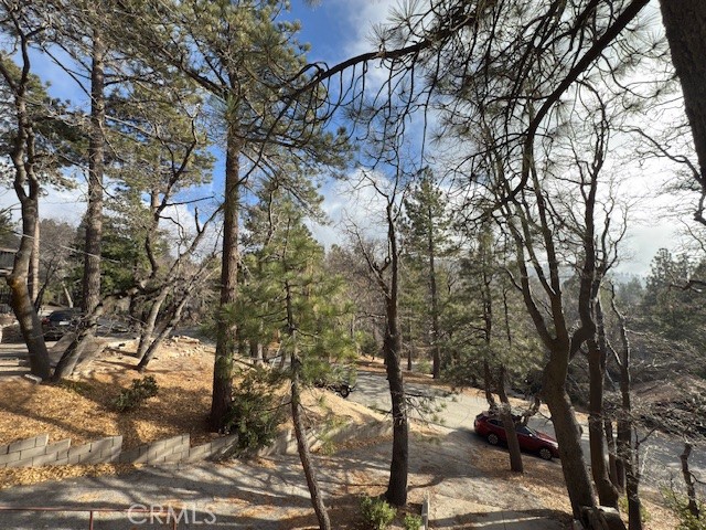 Detail Gallery Image 3 of 28 For 33058 Juniper Ln, Green Valley Lake,  CA 92341 - 2 Beds | 1 Baths