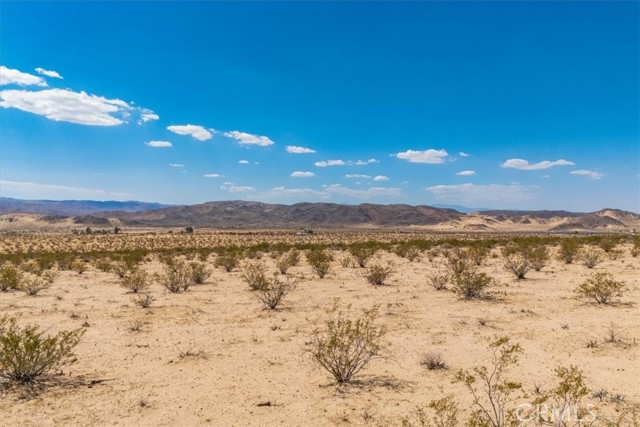 MLS #JT25263725 image #10