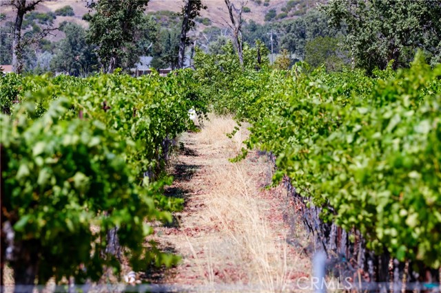 20756 State Highway 175, Middletown, CA, 95461 20756 State Highway 175, Middletown, CA, 95461