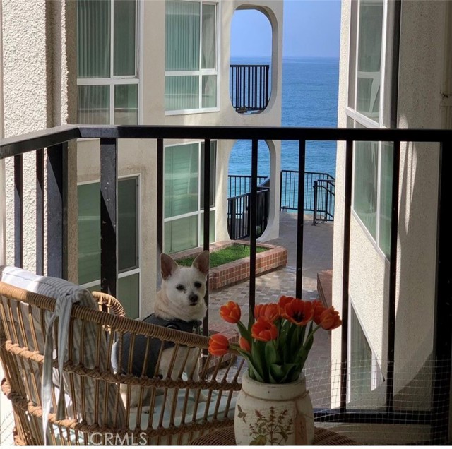 565 Esplanade, Redondo Beach, California 90277, 1 Bedroom Bedrooms, ,Residential,Sold,Esplanade,SB21248131