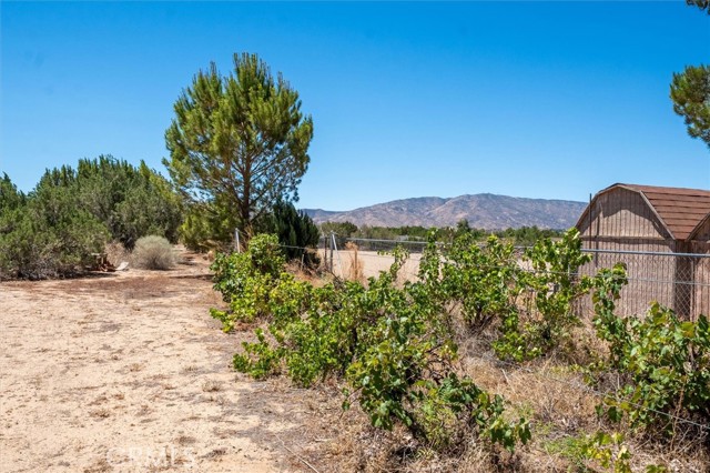 2056 W Avenue O, Palmdale CA: https://media.crmls.org/medias/54fc8909-9252-4349-9767-10148619a634.jpg