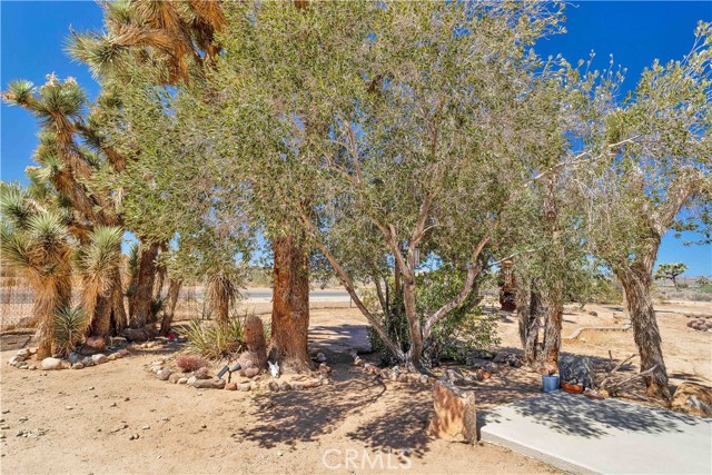 Detail Gallery Image 15 of 24 For 57620 Buena Vista Dr, Yucca Valley,  CA 92284 - 2 Beds | 1 Baths