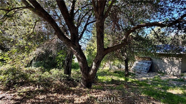 Detail Gallery Image 6 of 9 For 0 Hilldale Dr, La Canada Flintridge,  CA 91011 - – Beds | – Baths
