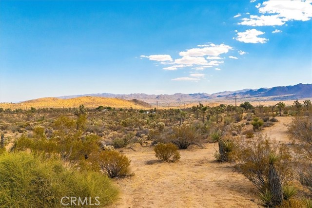 Detail Gallery Image 41 of 75 For 5324 Paradise View Rd, Yucca Valley,  CA 92284 - 2 Beds | 1 Baths