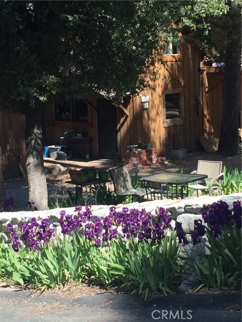 Detail Gallery Image 23 of 31 For 9112 Torrey Pines Rd, Forest Falls,  CA 92339 - 2 Beds | 2/1 Baths