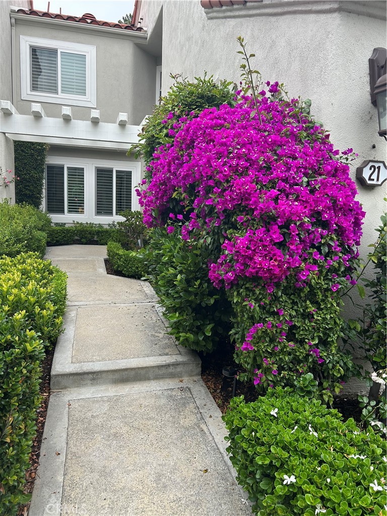 MLS #OC25241861 image #4