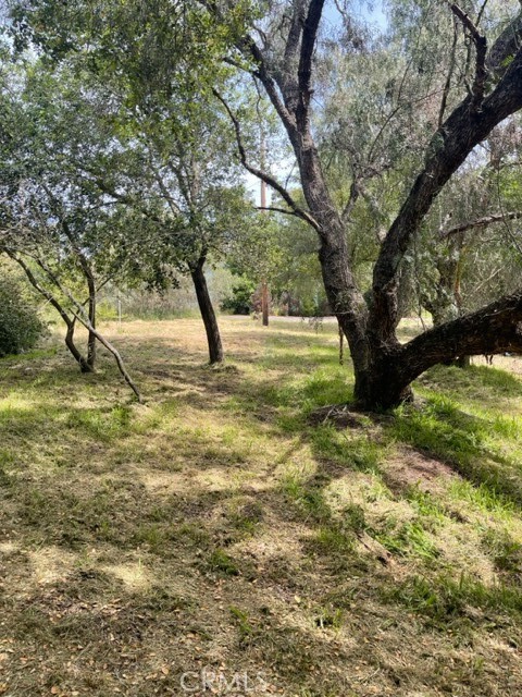 Land area next to shed looking toward Driveway Easement