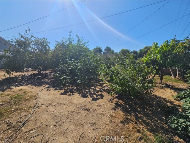 2352 California Ave photo 39