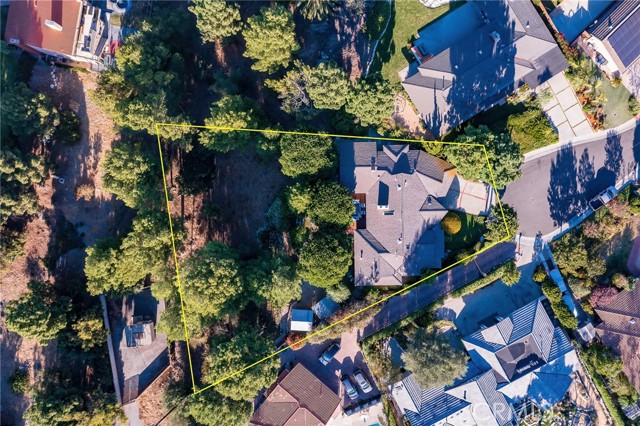 Drone View of the home