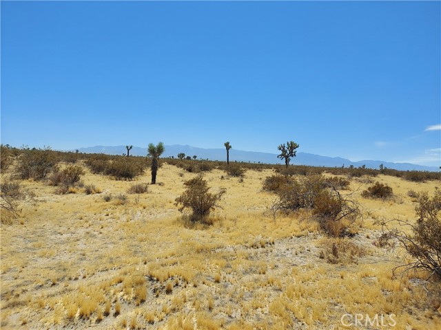 Detail Gallery Image 6 of 13 For 0 Crippen Parcel #3210-091-01 Rd, Adelanto,  CA 92301 - – Beds | – Baths