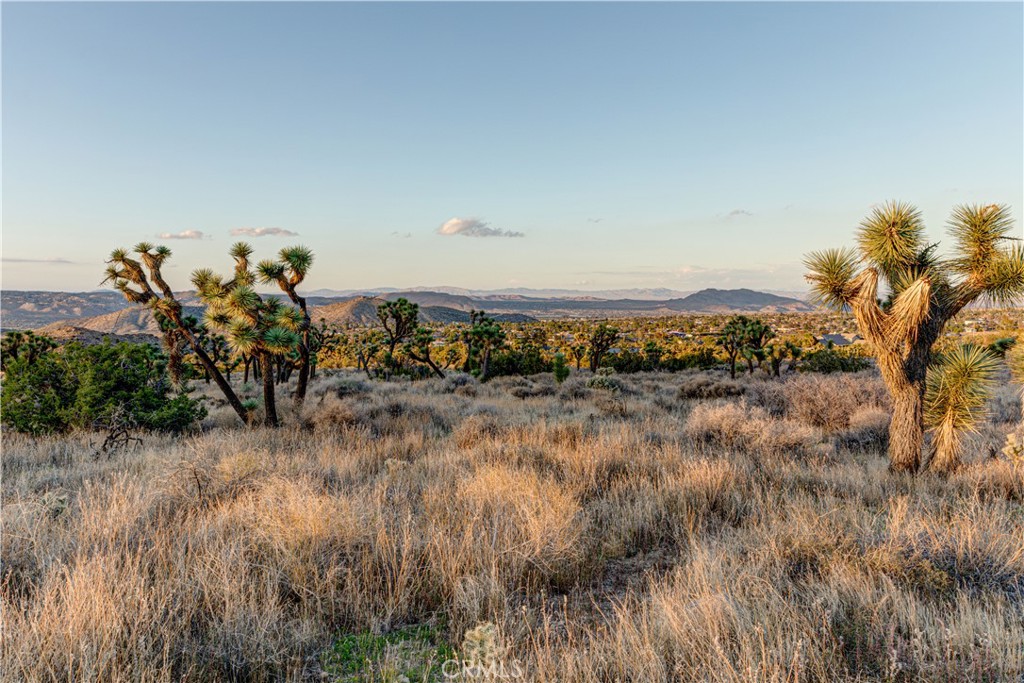 MLS #JT25229239 image #39