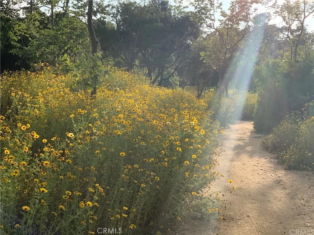 551dd3cc 8176 425f 9be5 8170dce45ab4