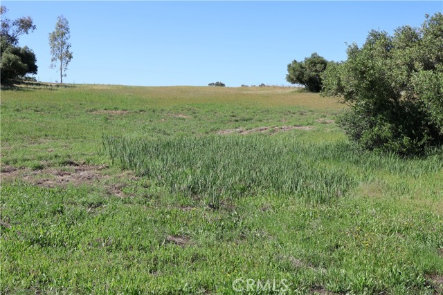 Detail Gallery Image 25 of 32 For 0 Carona Ave., Corning,  CA 96021 - – Beds | – Baths