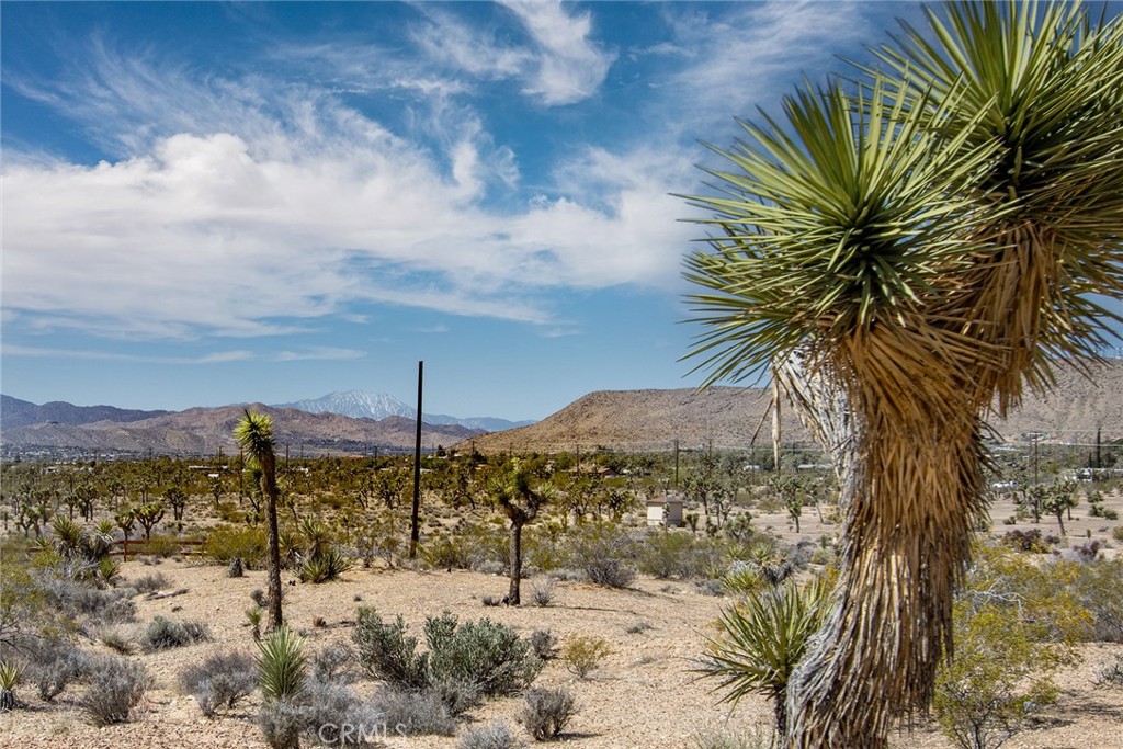 MLS #JT25088570 image #31