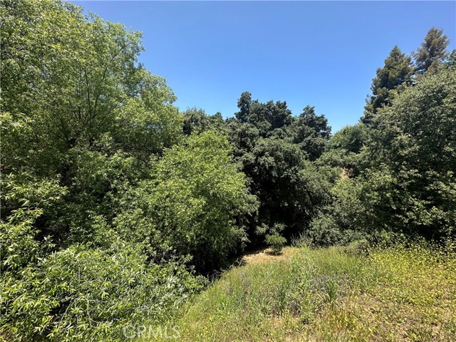 0 Oak Mountain Drive, Yucaipa, California 92399, ,Land,For Sale,0 Oak Mountain Drive,CRIG23148050