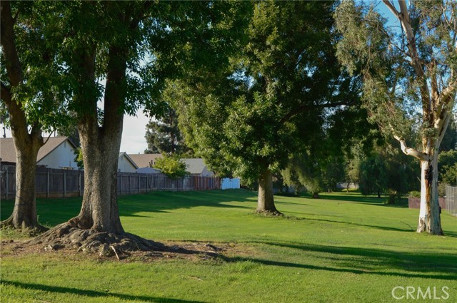 10060 Hillsborough Lane, Riverside CA: https://media.crmls.org/medias/5526facd-bff7-43d3-bf80-f52a57cddfab.jpg