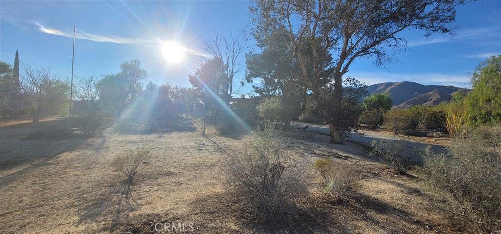 MLS #DW25229316 image #19