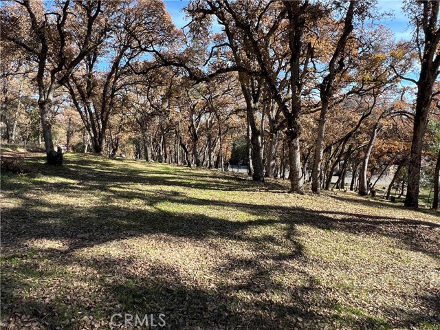 Detail Gallery Image 9 of 11 For 6060 Old Highway 53, Clearlake,  CA 95422 - – Beds | – Baths