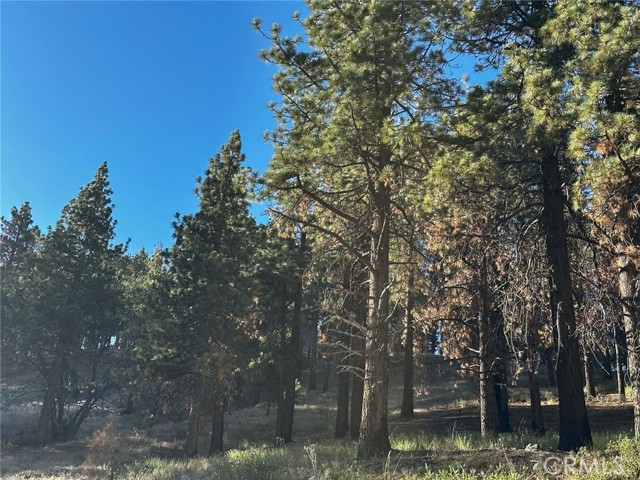 1 Crest Forest Drive, Cedarpines Park CA: https://media.crmls.org/medias/5531d400-9710-4b0d-be2b-658185feacbe.jpg