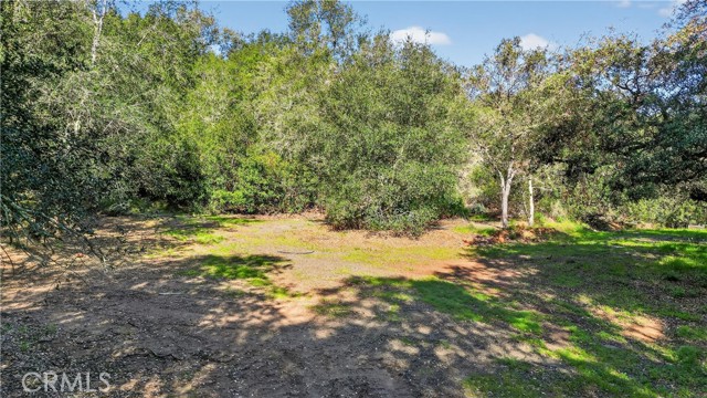 0 Avenida Perla Bonita, Murrieta CA: https://media.crmls.org/medias/5532e690-1729-4f22-b85f-da12c04bd6c1.jpg