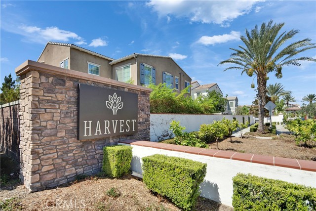 Detail Gallery Image 30 of 36 For 8754 Celebration St, Chino,  CA 91708 - 3 Beds | 3 Baths