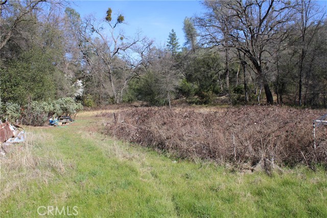 Detail Gallery Image 13 of 35 For 0 Condor Rd, Oroville,  CA 95965 - – Beds | – Baths