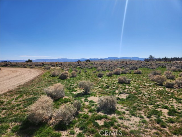 Detail Gallery Image 7 of 20 For 0 Yucca Rd, Newberry Springs,  CA 92365 - – Beds | – Baths