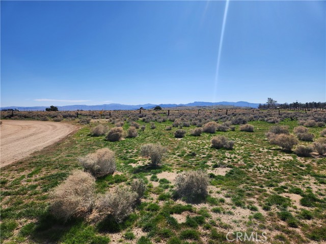 Detail Gallery Image 7 of 20 For 0 Yucca Rd, Newberry Springs,  CA 92365 - – Beds | – Baths