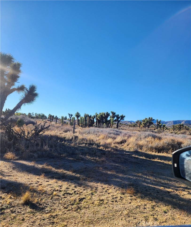 MLS #CV25255822 image #34