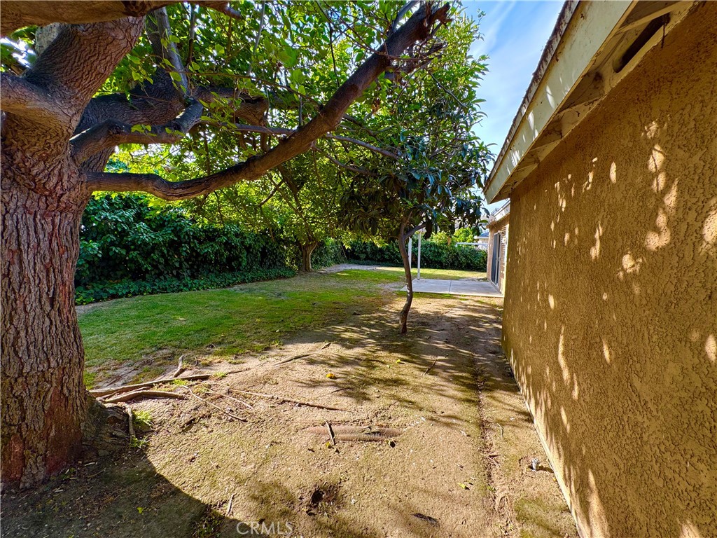 MLS #SR25175669 img 36