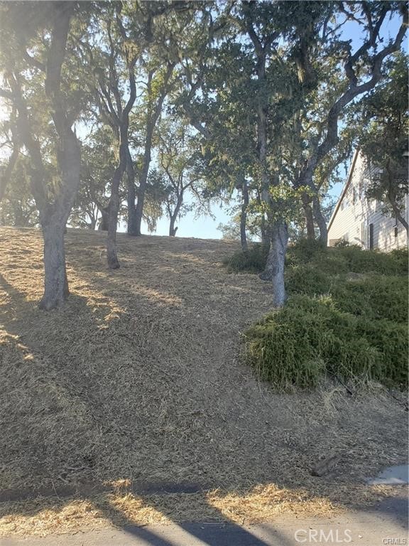 2446 Captains Walk, Bradley, California 93426, ,Land,For Sale,2446 Captains Walk,CRNS23144612